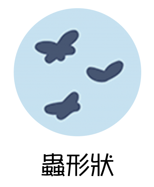飛蚊症患者常見的漂浮物 - 蟲形狀